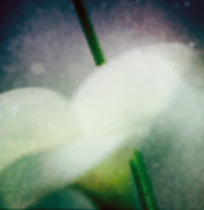 Crédit photo Jean-Michel HERIN Crédit photo Jean-Michel HERIN