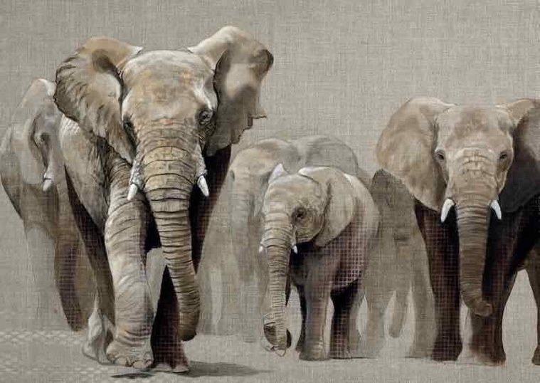 Livres en bouche. Revue Hypnose et Thérapies Brèves 78. Livres en bouche. Revue Hypnose et Thérapies Brèves 78.