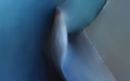 En état hypnotique, peut-on m'obliger à faire quelque chose que je ne veux pas faire ? En état hypnotique, peut-on m'obliger à faire quelque chose que je ne veux pas faire ?