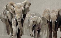 Livres en bouche. Revue Hypnose et Thérapies Brèves 78.