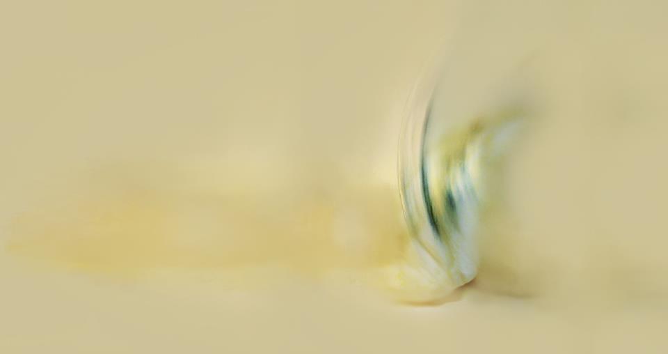 Formation Hypnose à Paris Formation Hypnose à Paris