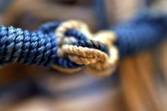 Formation Hypnose à Paris Formation Hypnose à Paris